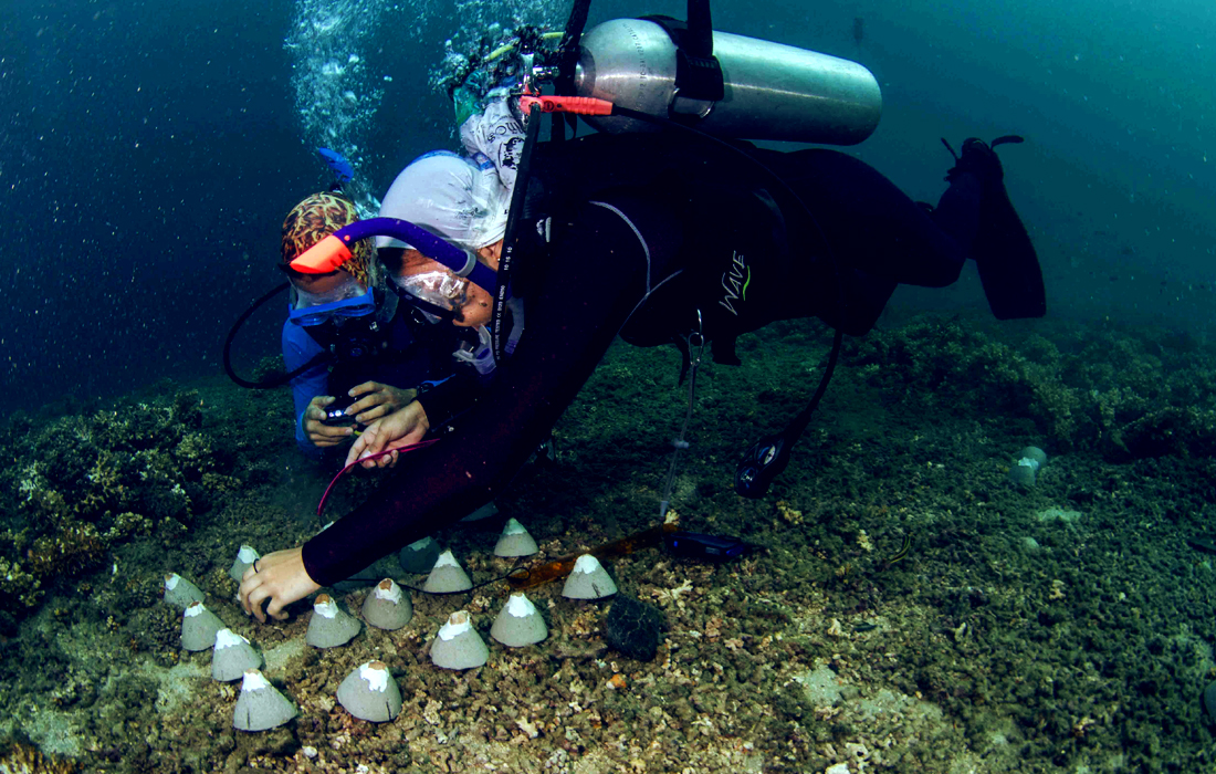 Maestría en Restauración Ecológica
