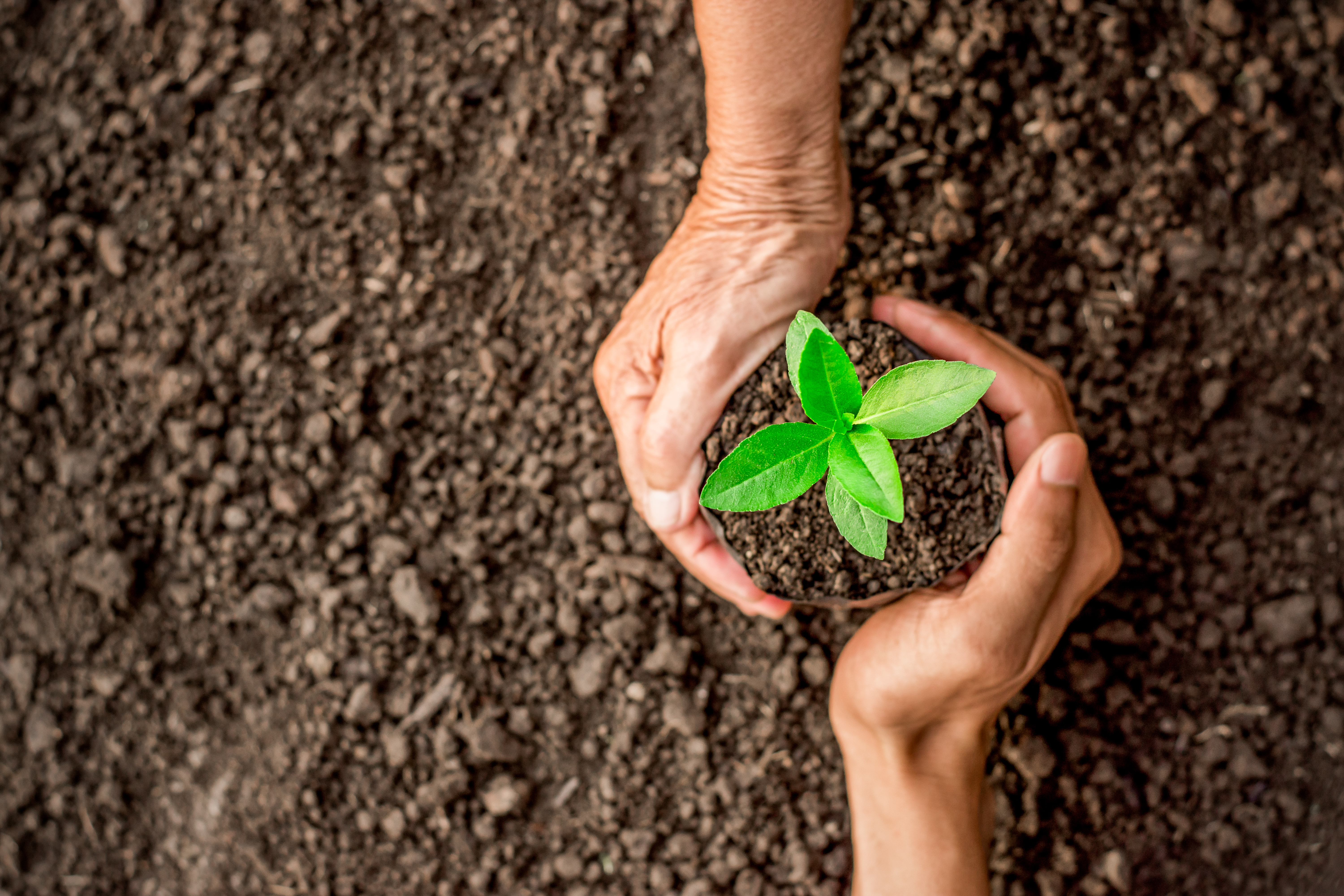Especialización en Jurisdicción Agraria y Derecho de Tierras