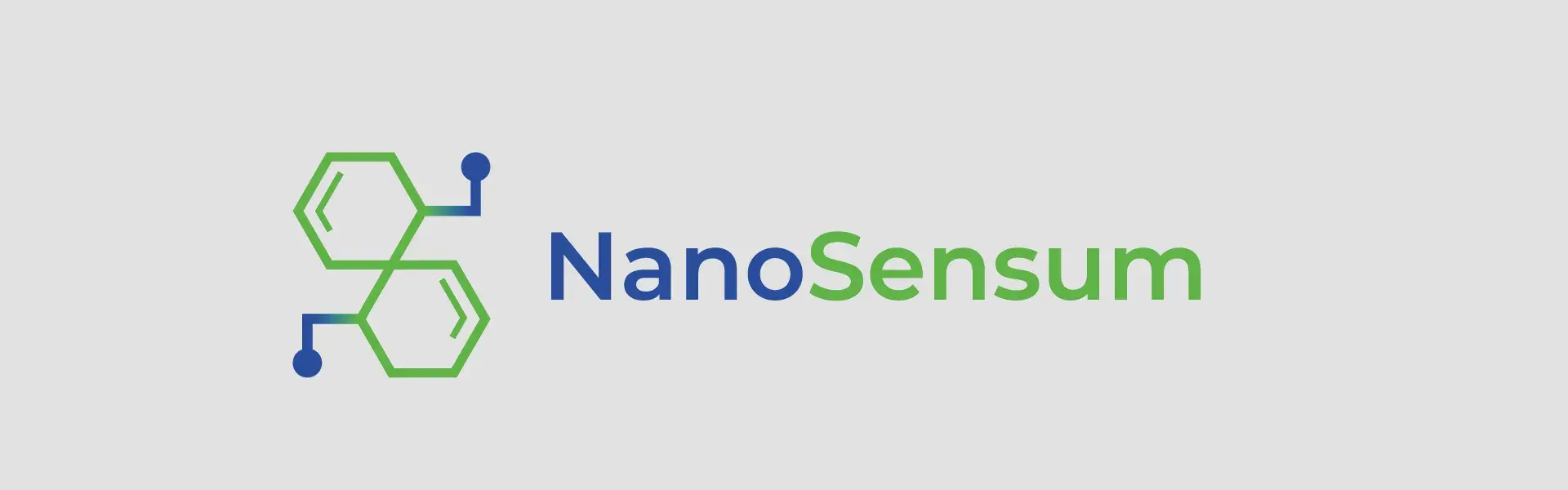 Nanosensum 