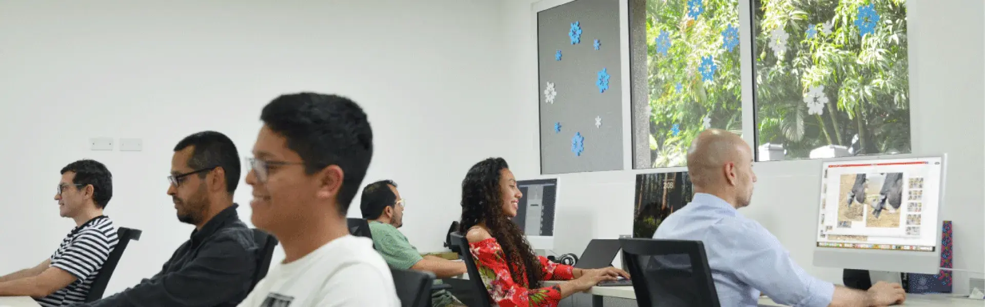 Investigación y Desarrollo