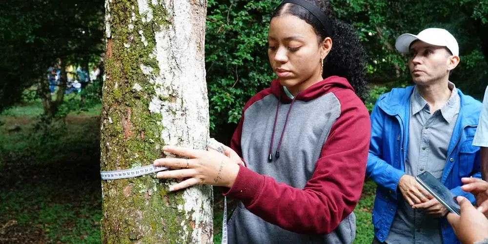 Diplomado en Educación y gestión ambiental