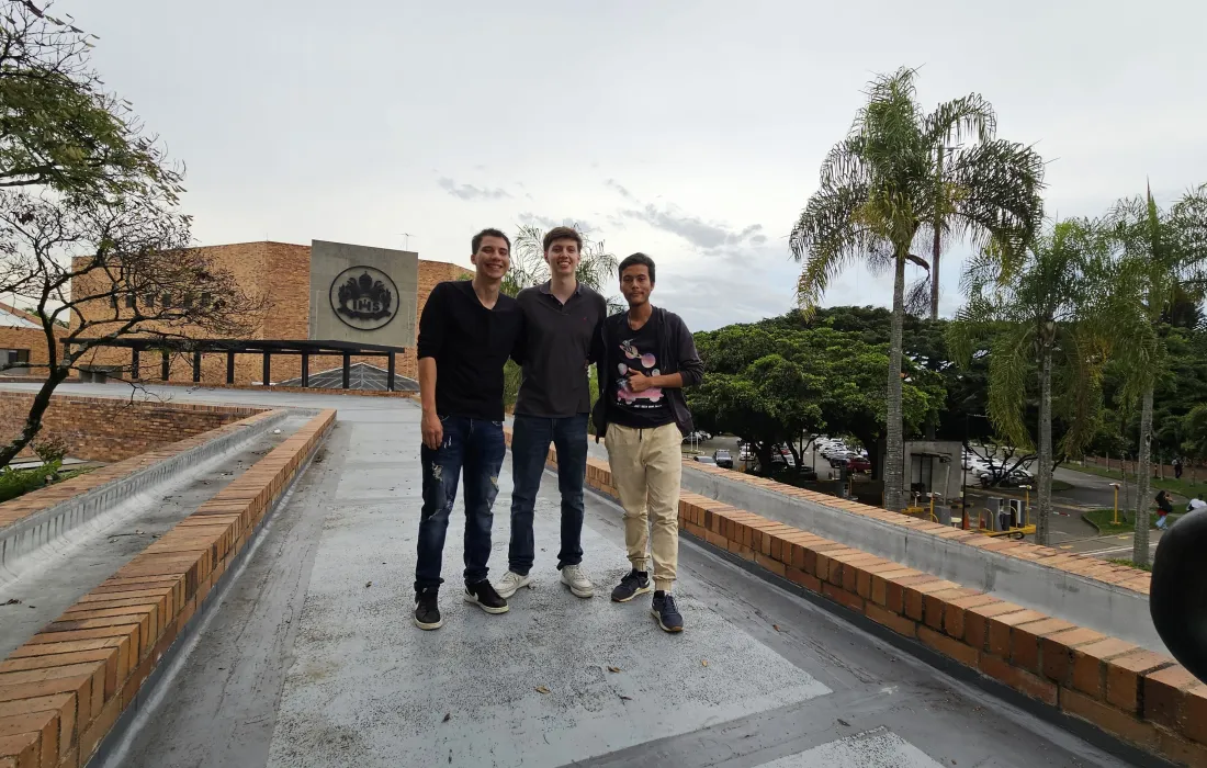 Ingeniería_Sistemas