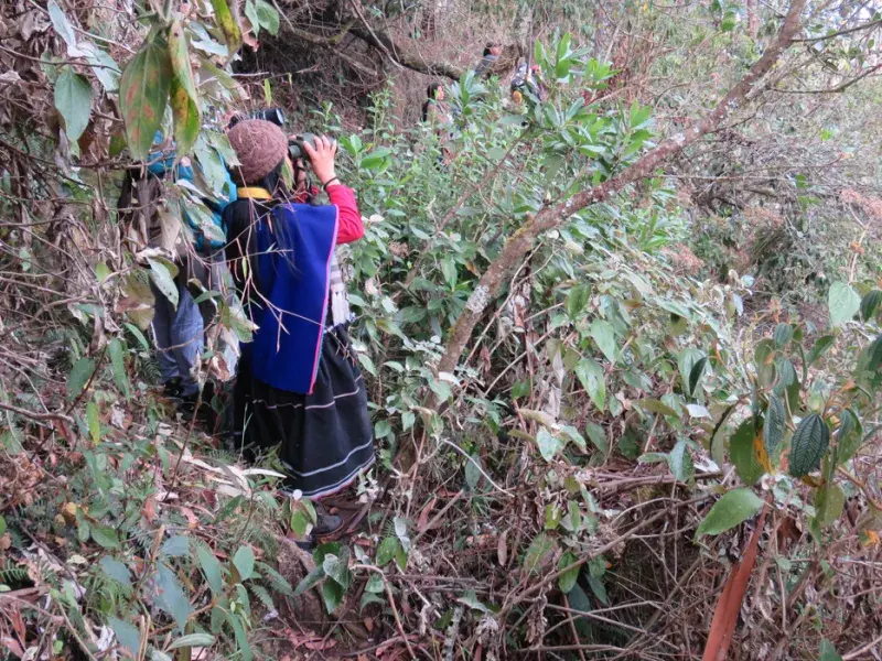 prácticas de estudiantes de la Javeriana Cali en Silvia, Cauca
