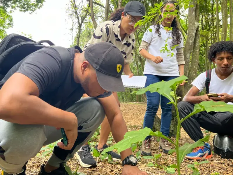 Tesos por el Ambiente: formando líderes ambientales desde experiencias vivenciales