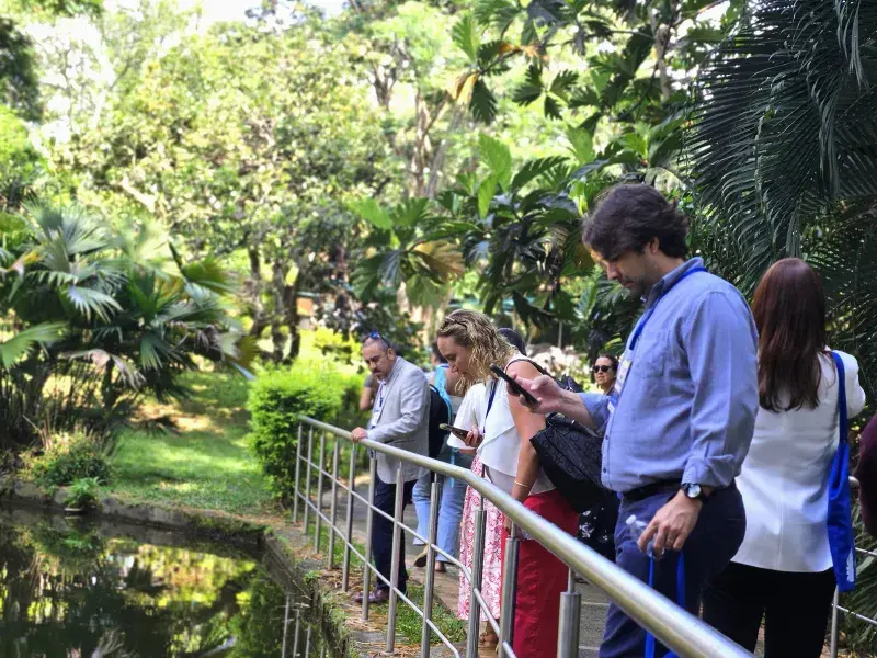 Javeriana Cali, anfitriona del primer encuentro de la Red de Internacionalización Transformadora RIT de CINDA 