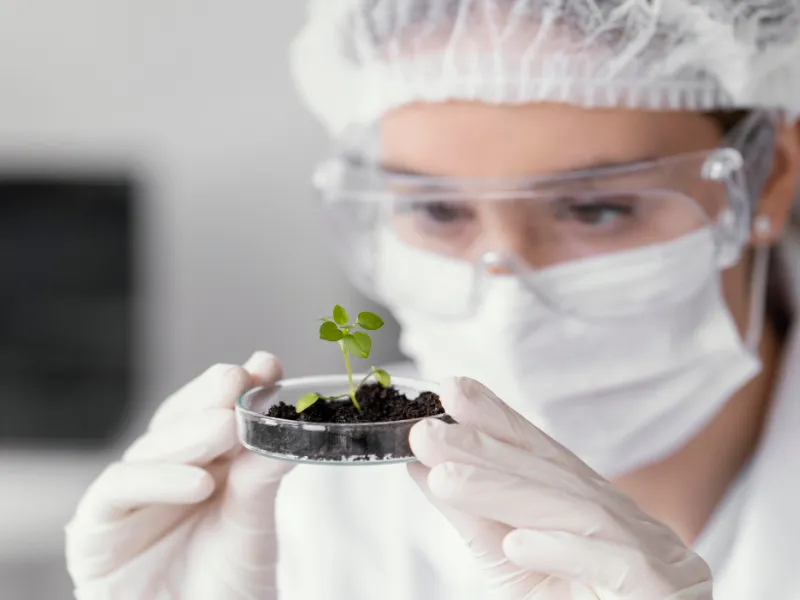 Becas en Secuestro de Carbono 2026 para estudiantes de maestría y doctorado