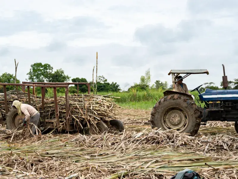económica territorial