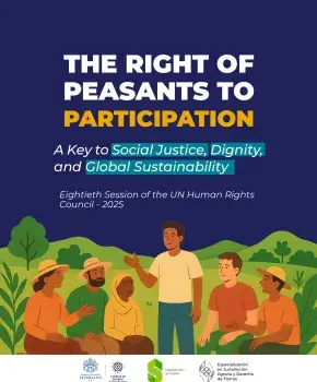 THE RIGHT OF PEASANTS TO PARTICIPATION