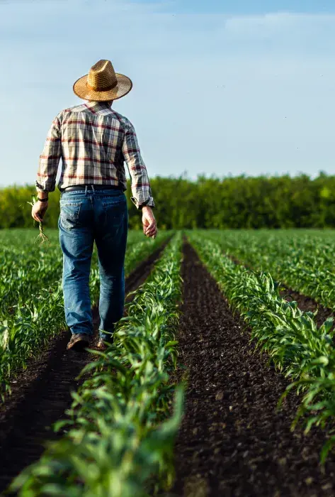 Jurisdicción Agraria: una clave para el desarrollo rural