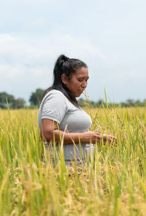 autonomía económica territorial